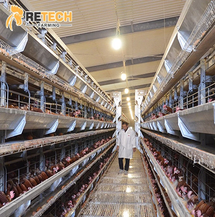 H Type Layer Cage/Broiler Cage Chicken Farm Poultry Equipment