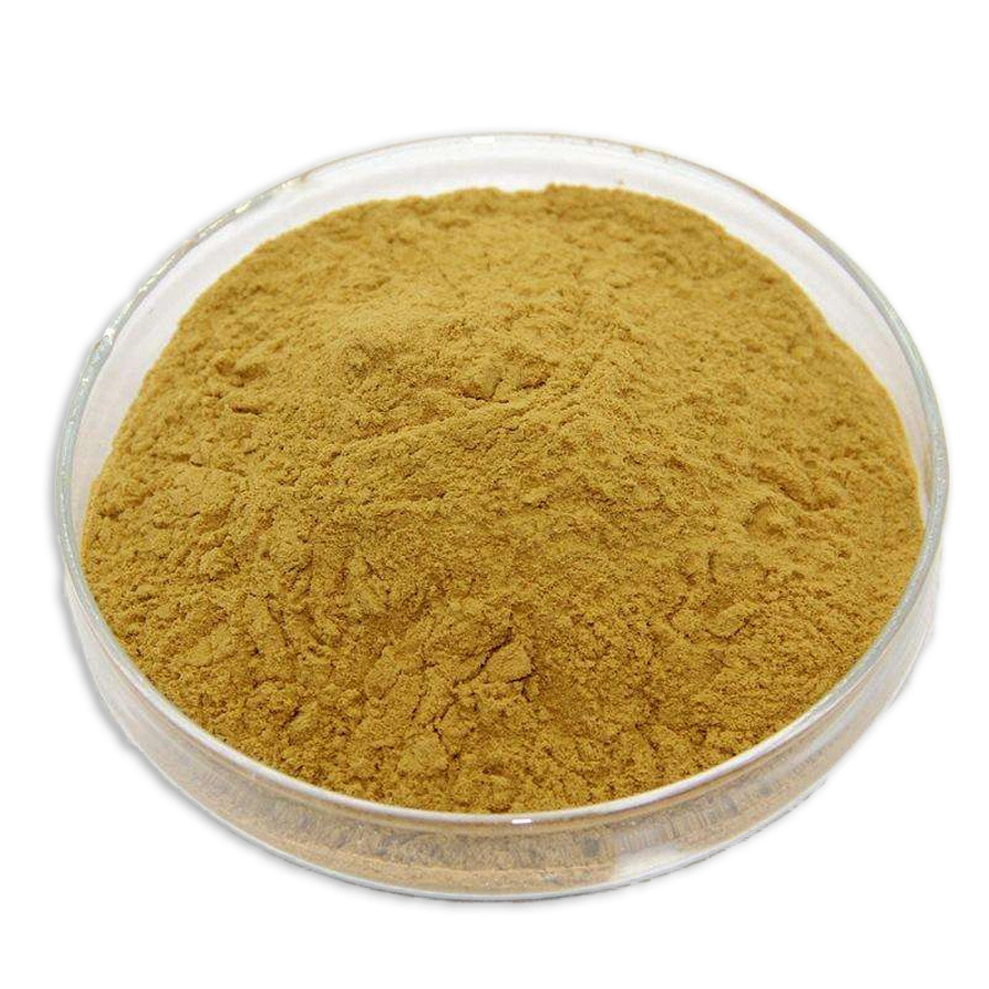 ISO الشركة المصنعة 40% 45% من حمض الفوليك Ox bile Powder