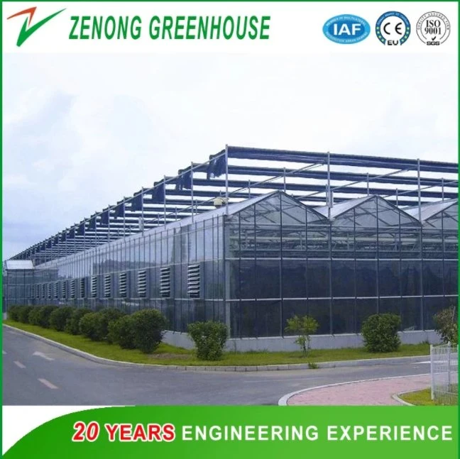 Vegetables/ Flowers/ Tomato/ Mushroom Greenhouse Covered with Poly Carbonate PC Sheet