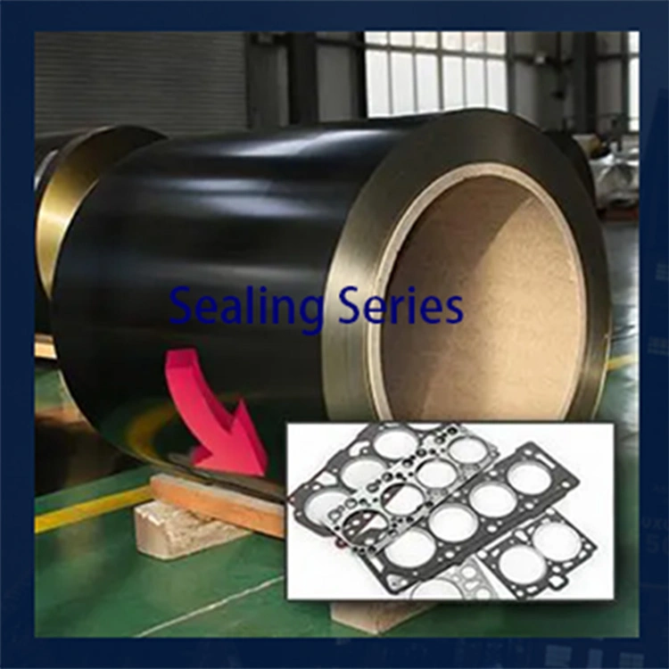 Full Hard Ss 301 FKM Coated Steel Composite Material Coating