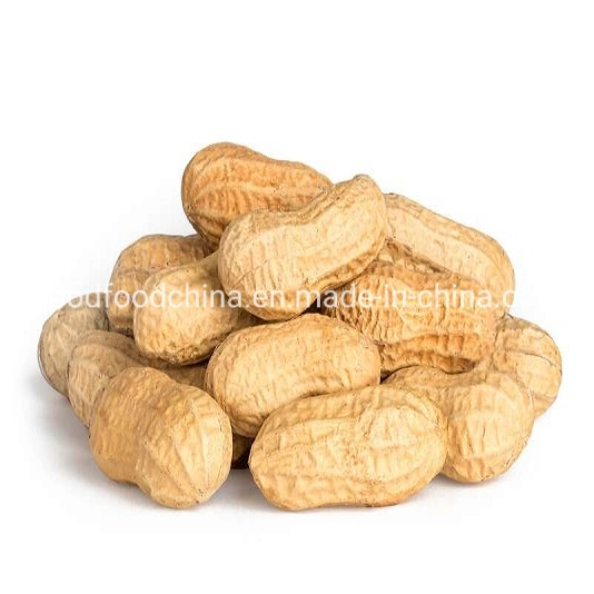 Raw Price Shelled Peanuts, Fresh Peanuts