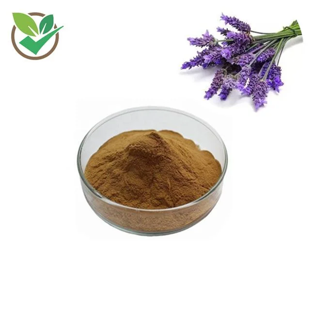 Supply Dried Lavender Flower Extract Lavender Powder Lavender Flower Extract