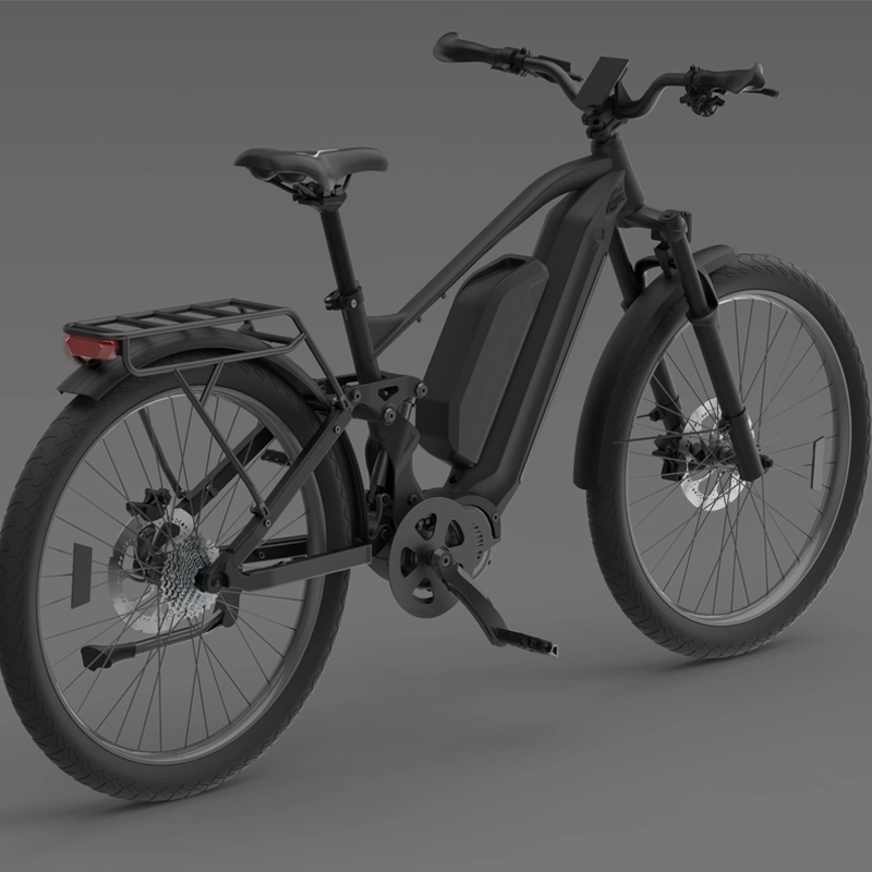 China OEM 1000W MID Drive Electric Bicycle