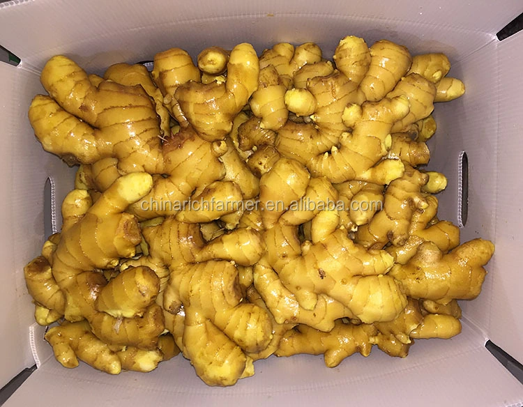 Hot Sale China Dry Ginger New Crop Chinese Fresh Ginger for Export