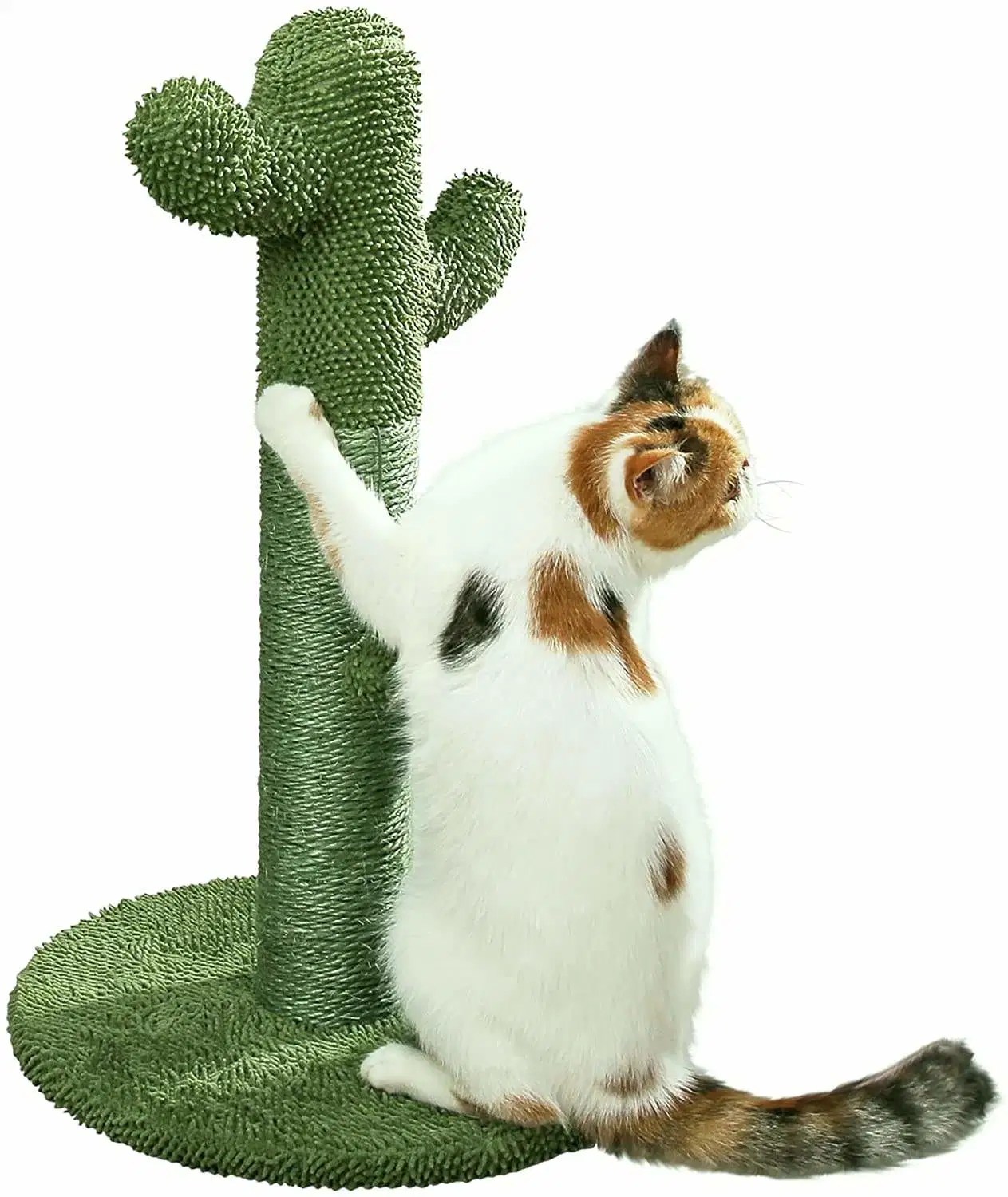 Poste de grattage pour chats, poste de grattage pour chats Cactus