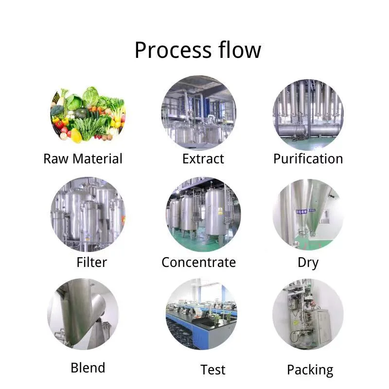 Tea Flower Extract 50%; High quality/High cost performance  and High Efficiency Manufacturer