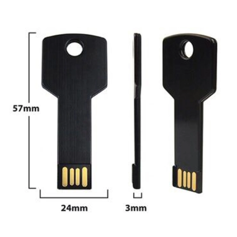 Factory Wholesale/Supplier Music Car USB Disk Custom Logo USB Flash Drive/USB Pen Drive/USB Pen Memory