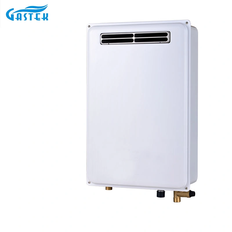 Remote Control 20L 24L 28L Home Appliance Outdoor Gas Water Heater for Shower Bathing