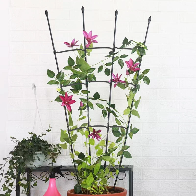 Fan-Shaped Plant Trellis Liana Plants Flower Support Climbing Rack Garden Trellis for Potted Plants