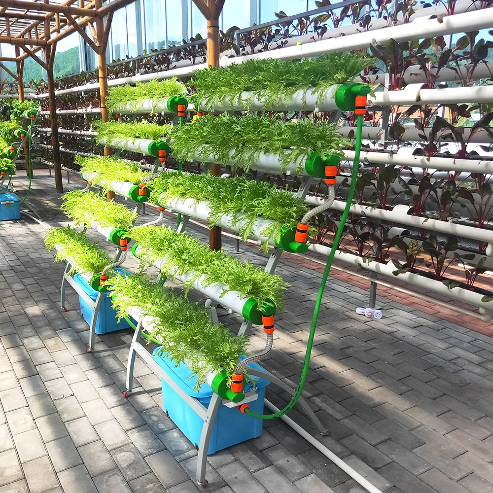 Nutrient Solution Customized Tropical Frigid Zone Vertical/Shape Hydroponics System with Nft Pipeline for Cherry/Cucumber/Eggplant