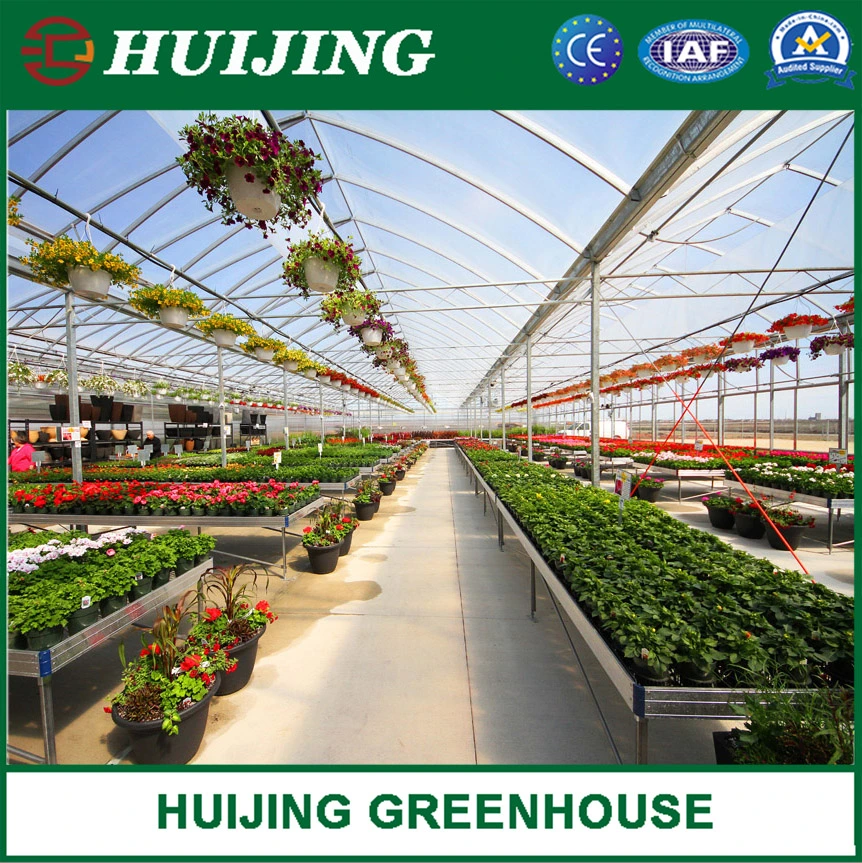 Hydroponics Multi-Span Plastic Po/PE Film Greenhouse for Vegetable Tomato Cucumber Garden Products