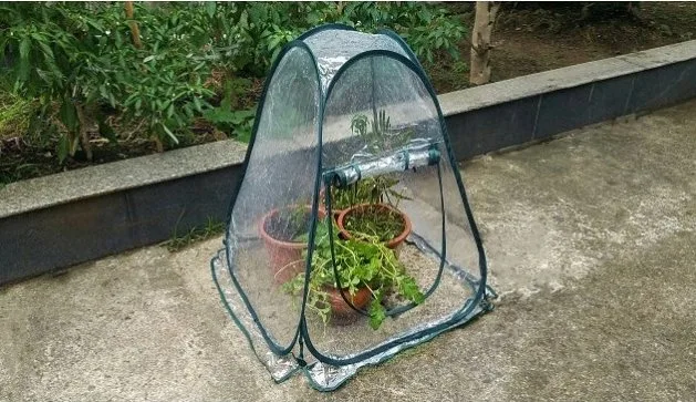 Outdoor Pop up Portable Green House/cloche/maison de jardin pour les Légumes Fruits//fleur