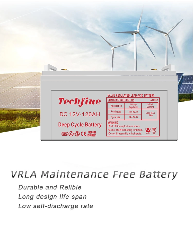 Techfine Hot Sale Fast Charging Lead Acid Battery Charger for Solar Power System