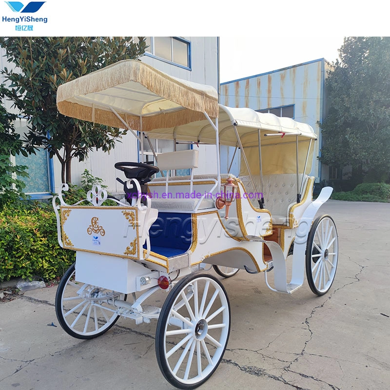 Special Transportation for Sightseeing Horse Carriage for Sale