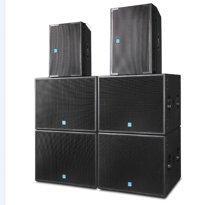 Double 10&prime; &prime; Compact Line Array Loudspeaker (very high SPL)