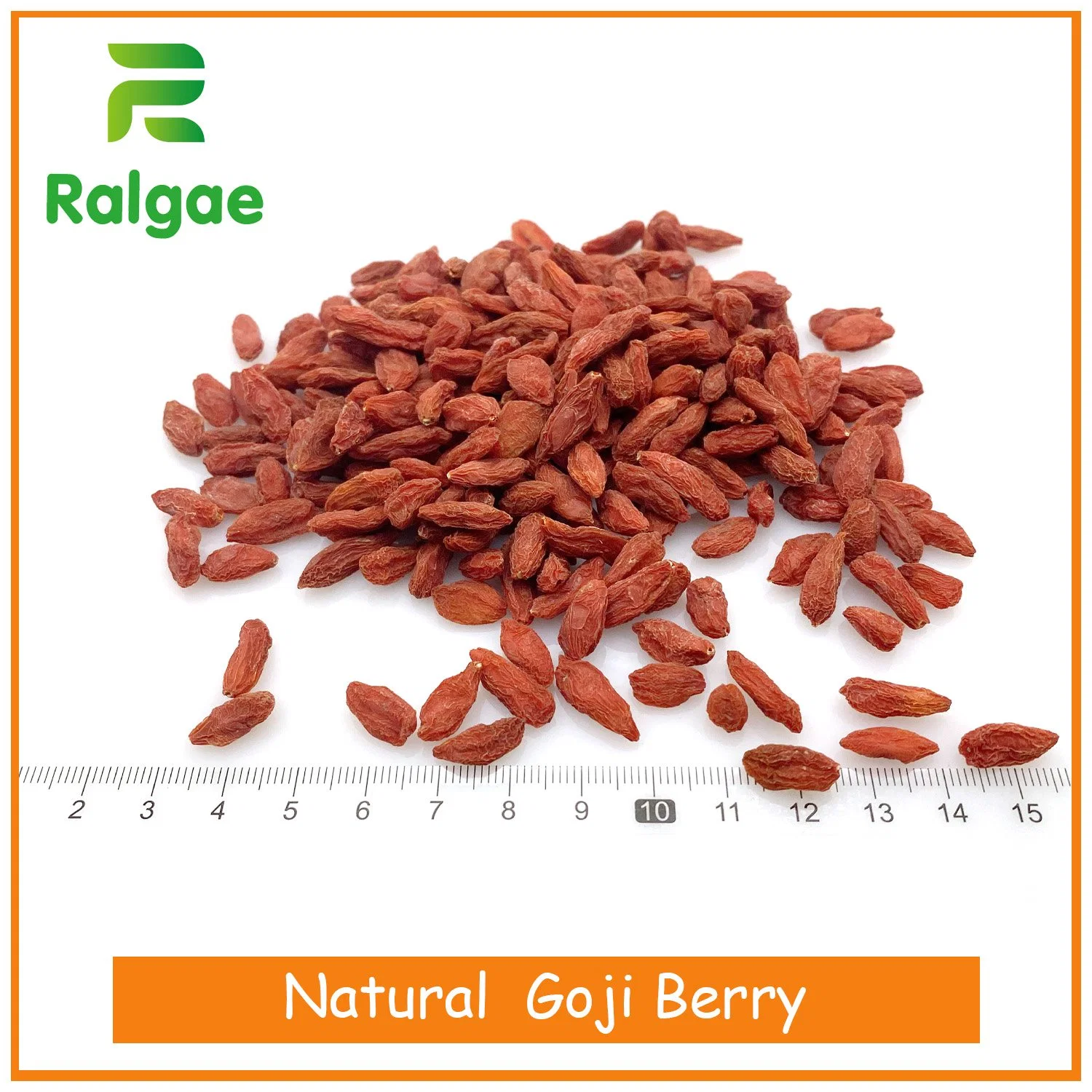 Goji sec naturel de Ningxia Chine 380 céréales Santé Foods