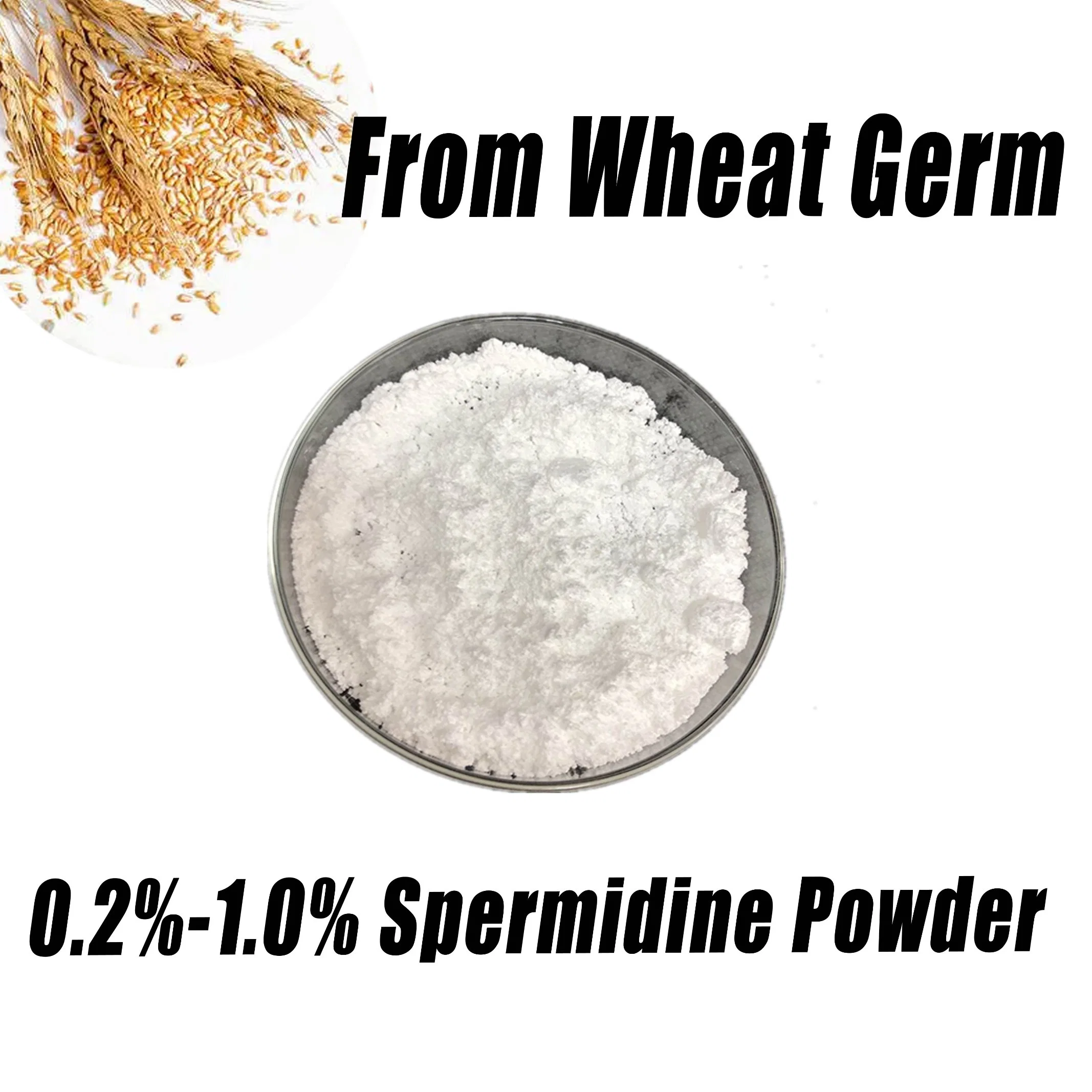 Natural Wheat Germ Extract 0.2%-1.0% Spermidine Synthesis Spermidine/Spermidine 3HCl CAS: 124-20-9