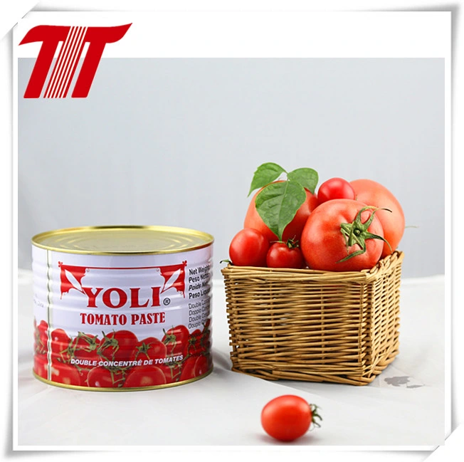 Italian Tomato Paste Canned with Best Price Without Additive From Manufacturer