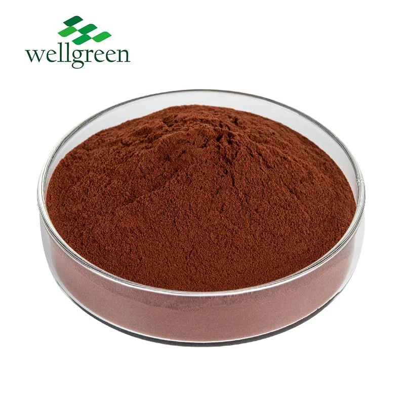 الفرنسية فوائد الفواكه مستحضرات التجميل Red Grape Seed Extract Powder 95% OPC للبشرة