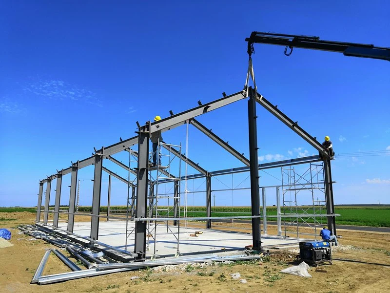 Prefab Industrial Steel Structure Construction Glavanized Poultry Building