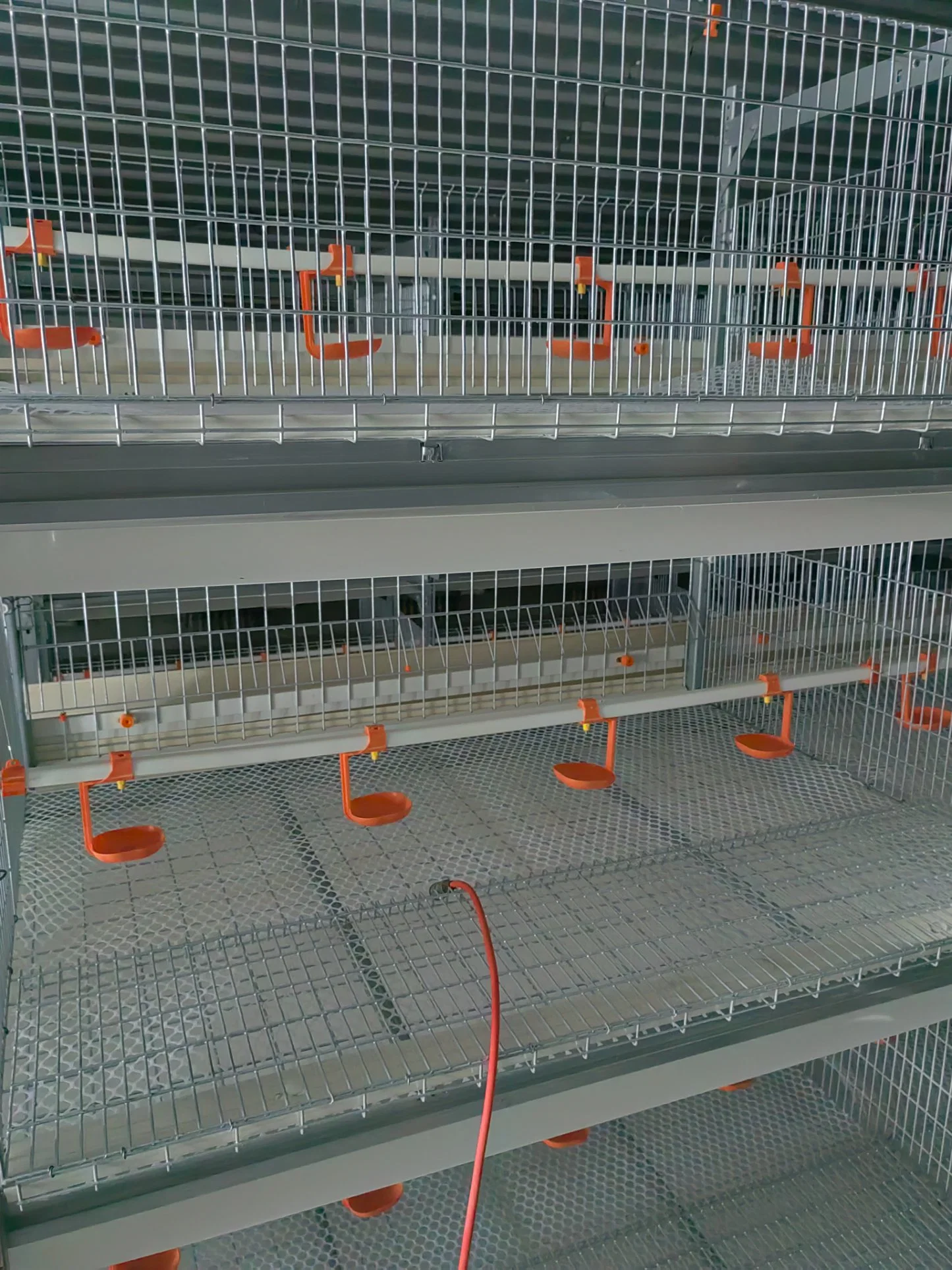 Sistema automático de alimentación de pollos Equipo de granja