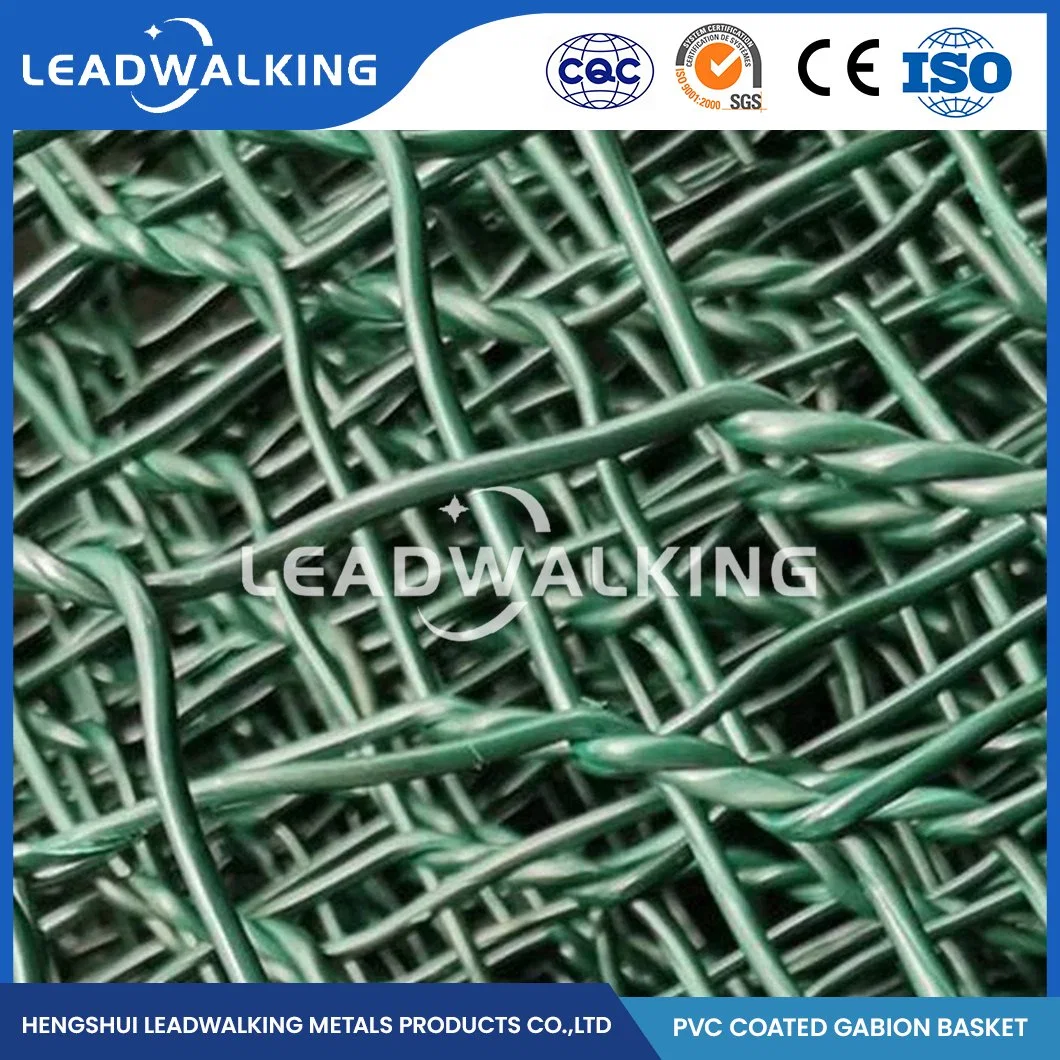 Leadwalking 2.0*1.5*1.0 Size Double Twist Hexagonal Wire Mesh Gabion Rust Prevention Galvanized Hexagonal Gabion Box China PVC Coated Gabion Mesh Box