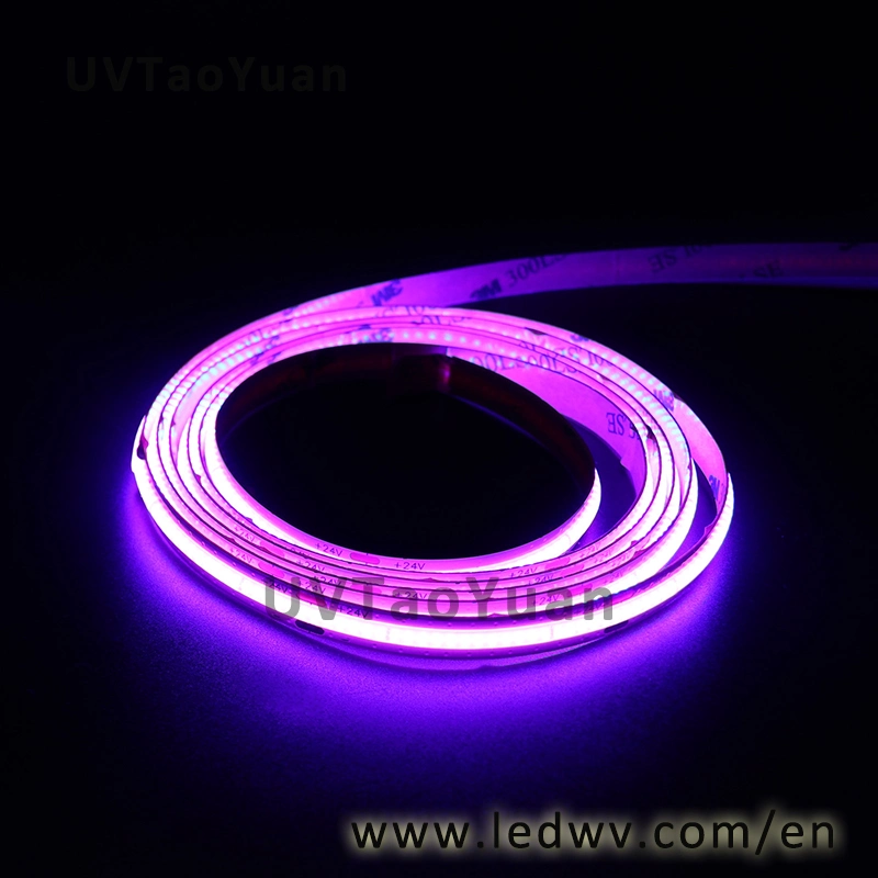 China Waterproof Pool Light 12V 24V RGB LED Neon Flexible Strip IP68 LED Neon Flex