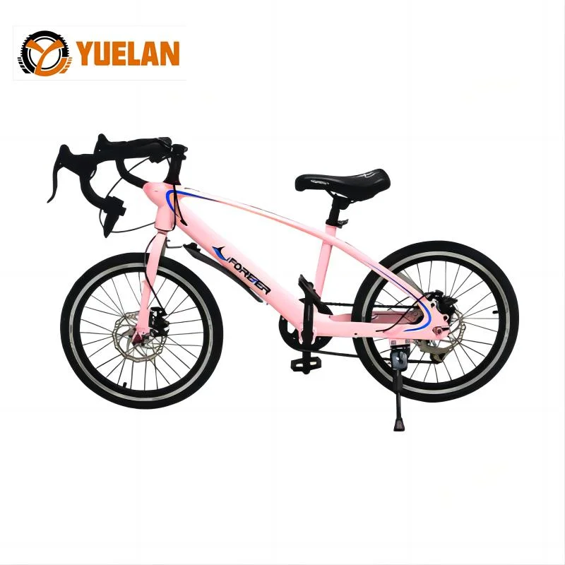 Mayorista/Proveedor 20inch Magnesium Alloy Kids Bikes 12/14/16/18/20 pulgadas Kids Bikes Precio barato Pink niños Bicicletas