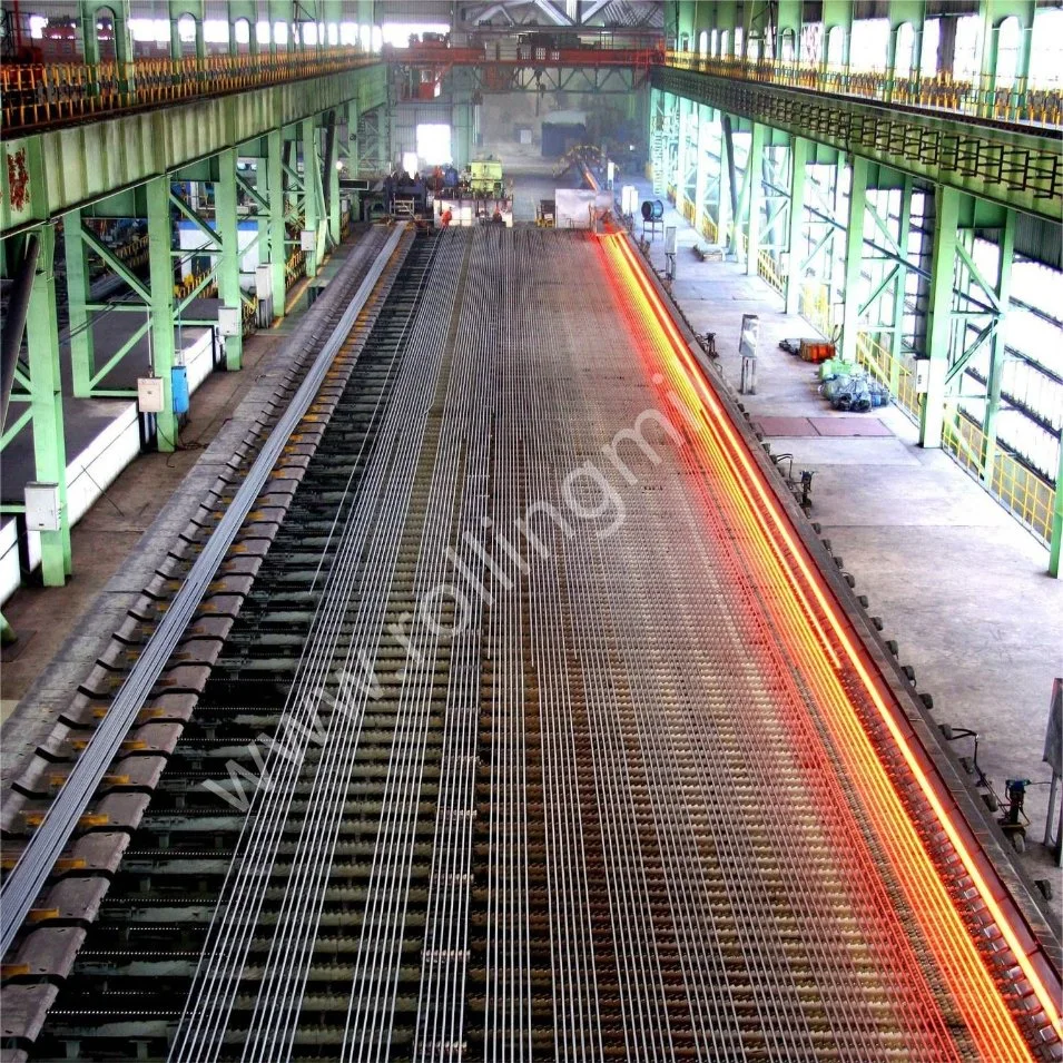 Steel Plant Project for Steel Rebar and Wire Rod Production