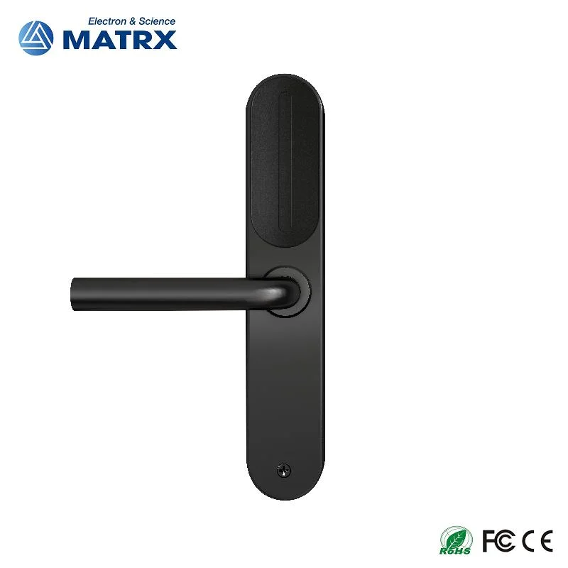 2023 304 Stainless Steel Smart Door Lock with Tuya APP