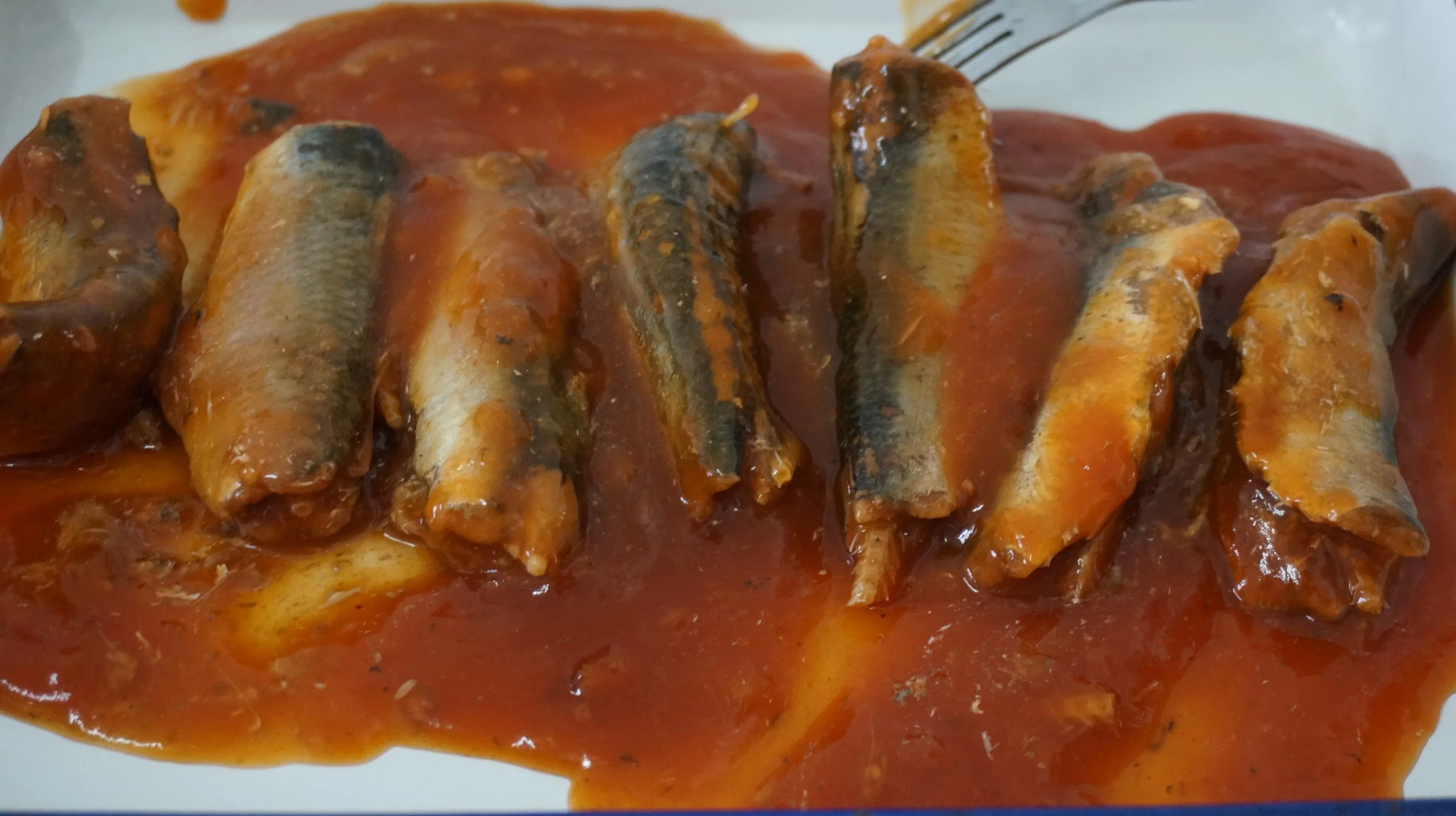 Fresh Meat Canned Sardine in Tomato Sauce and Able to Be Eaten by Pets