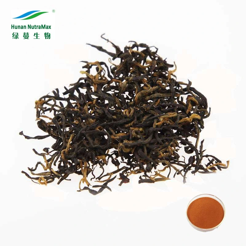 Food Grade Tea Extract Black Tea Extract 20% 30% 40% Theaflavins