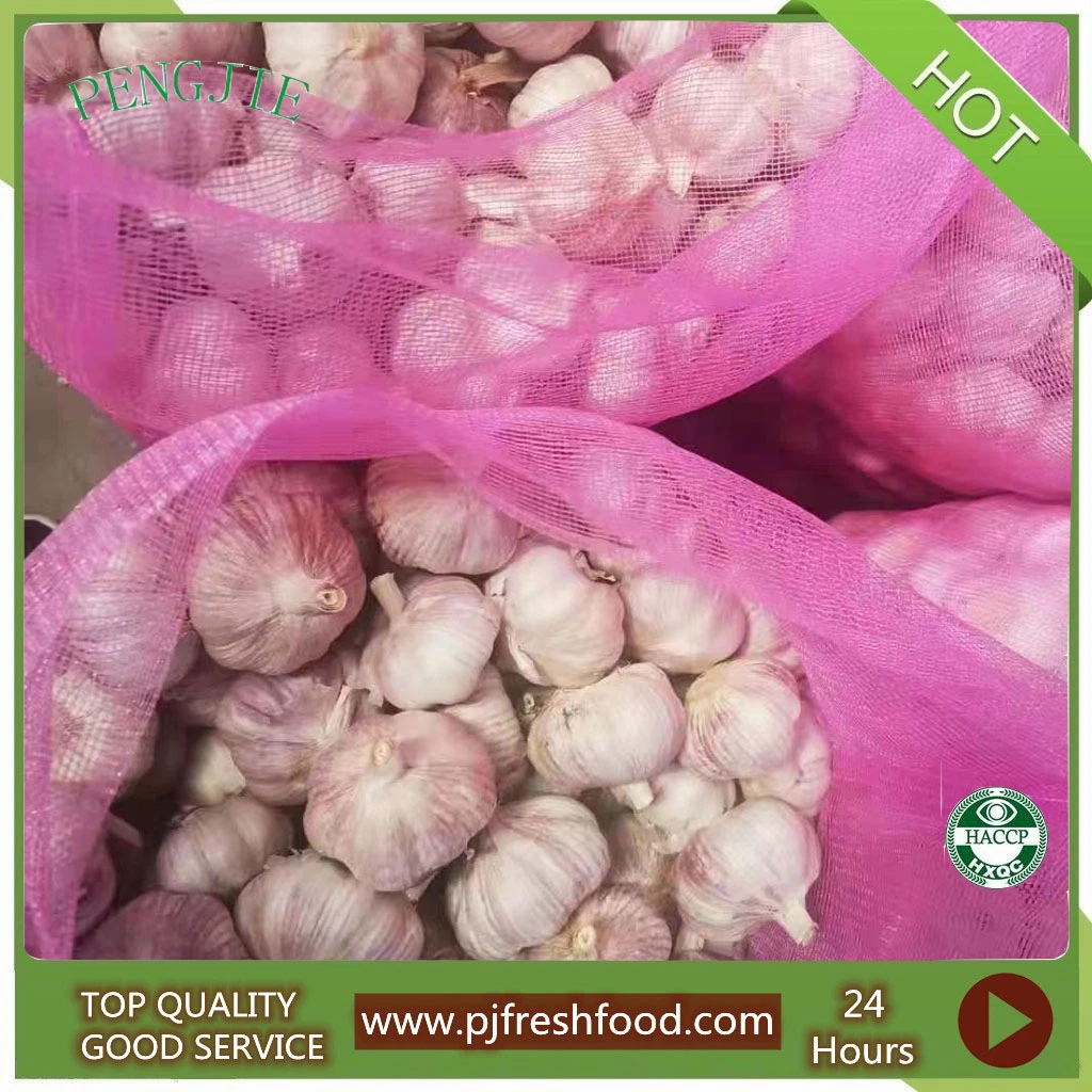 New Crop Fresh Chinese Normal White Garlic Supplier