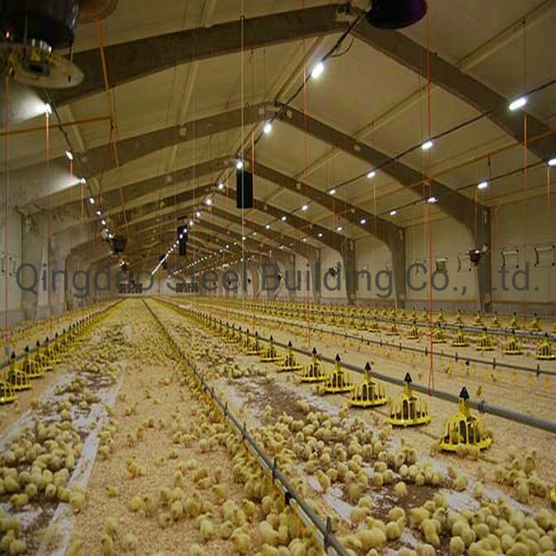 Fertigstahl Struktur Chicken House Farm Building Chicken Poultry Layer Broiler House