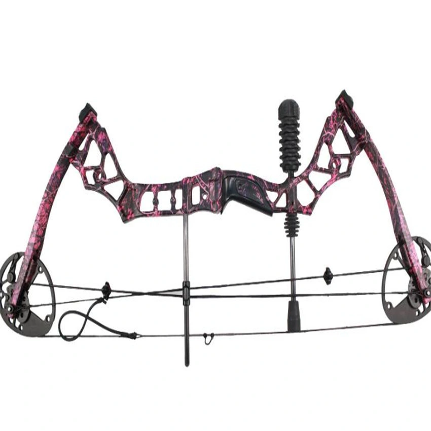 Mini Carbon Fiber Archery Compound Bow Set