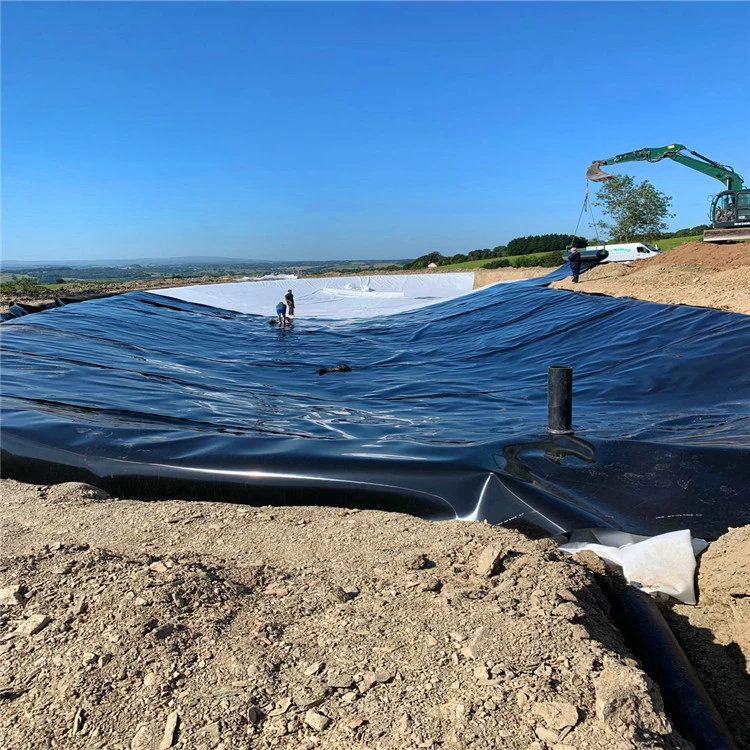 30 Mils HDPE Geomembrane Sheet Price for Salt Farm Crystallization Pond in Chile