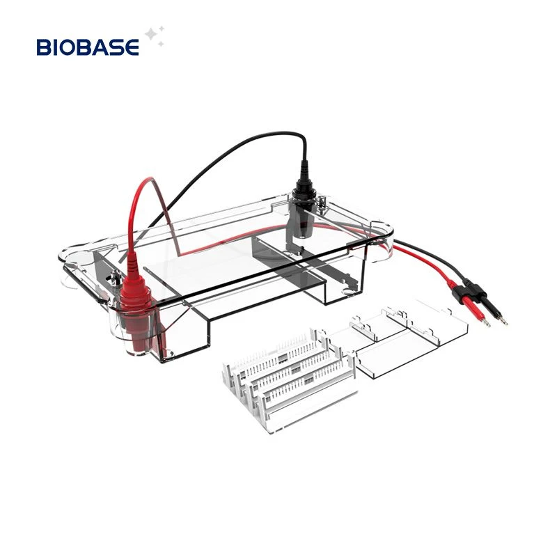 Electroforesis Vertical Biobase cn la prueba de PCR de depósito utilizar el ácido nucleico/proteínas electroforesis en caliente de Venta