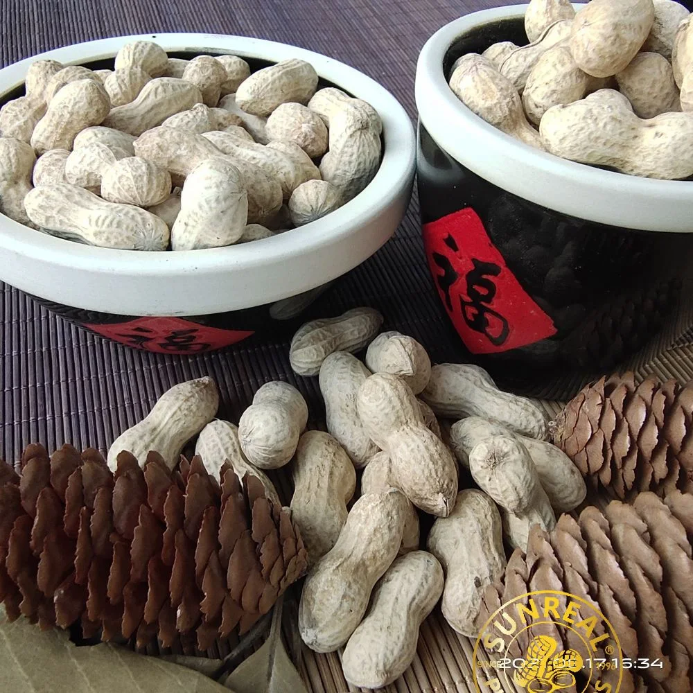 2021 Raw Peanut في Shell/Java/Good Services