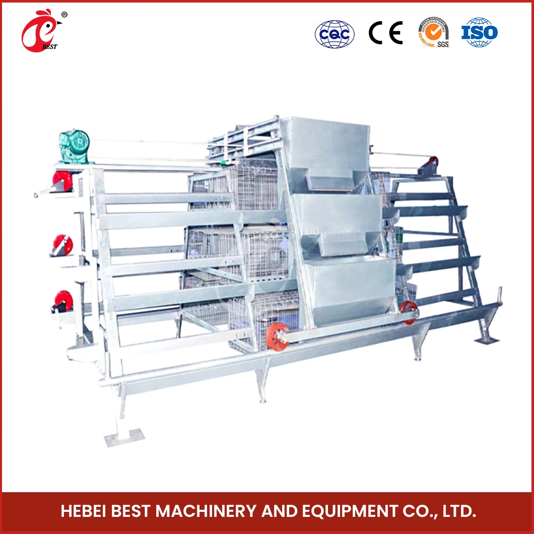 Bestchickencage China Battery Cage for Chicken Manufacturing a Frame Automatic Broiler Cages OEM Customized Save Space Durable Large Chicken Cage