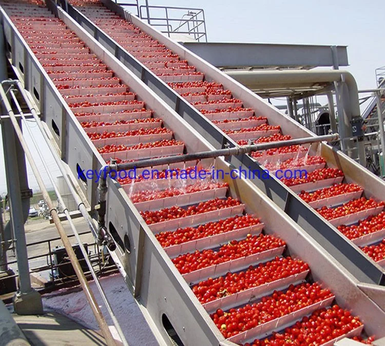 La Chine fabricant de la ligne de production de pâte de tomate