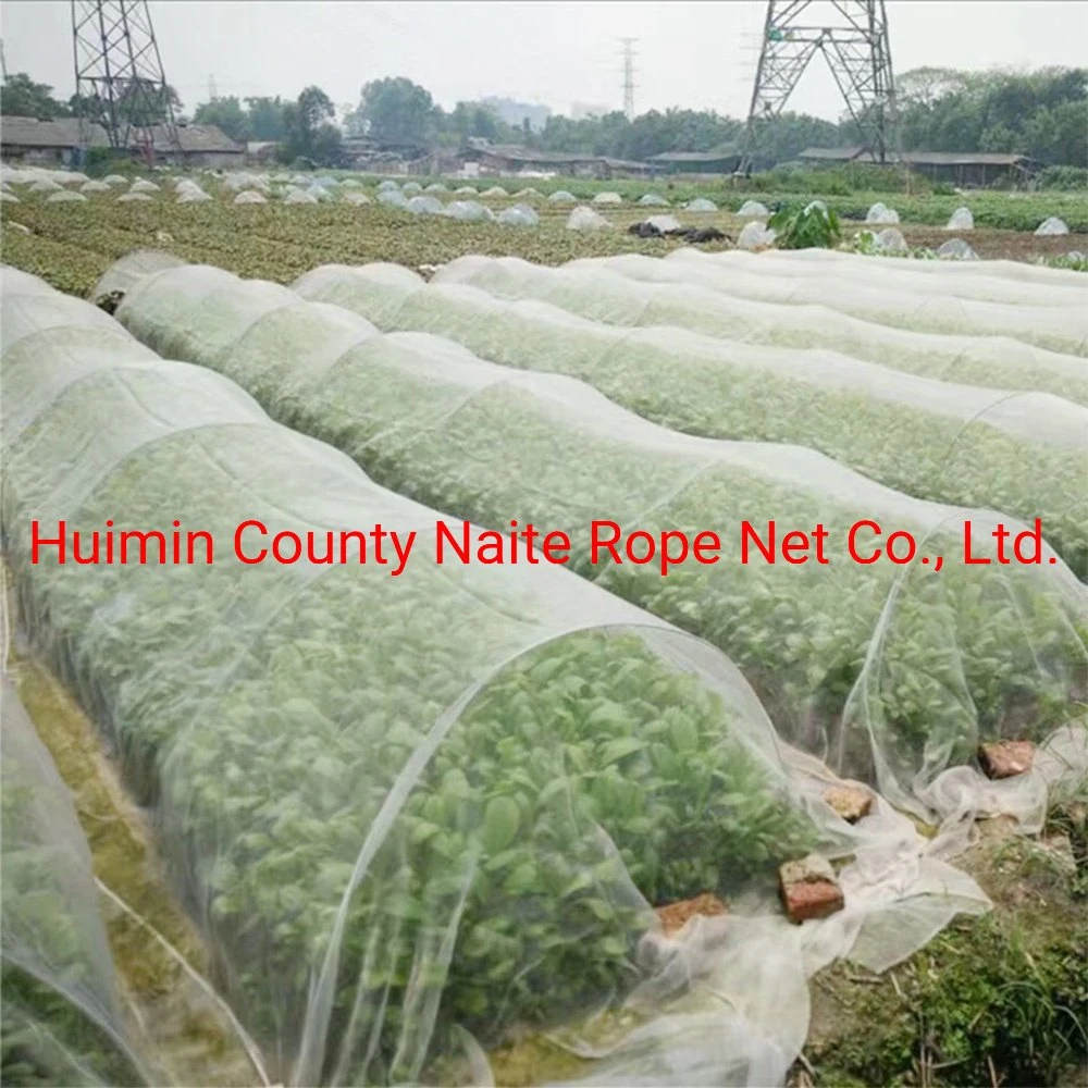 Perfect HDPE Insect Net Garden Greenhouse Fences Nets Nettings Fine Mesh Bug Mosquito Bird Net for Protecting Vegetables Flowers Fruits Trees Plants