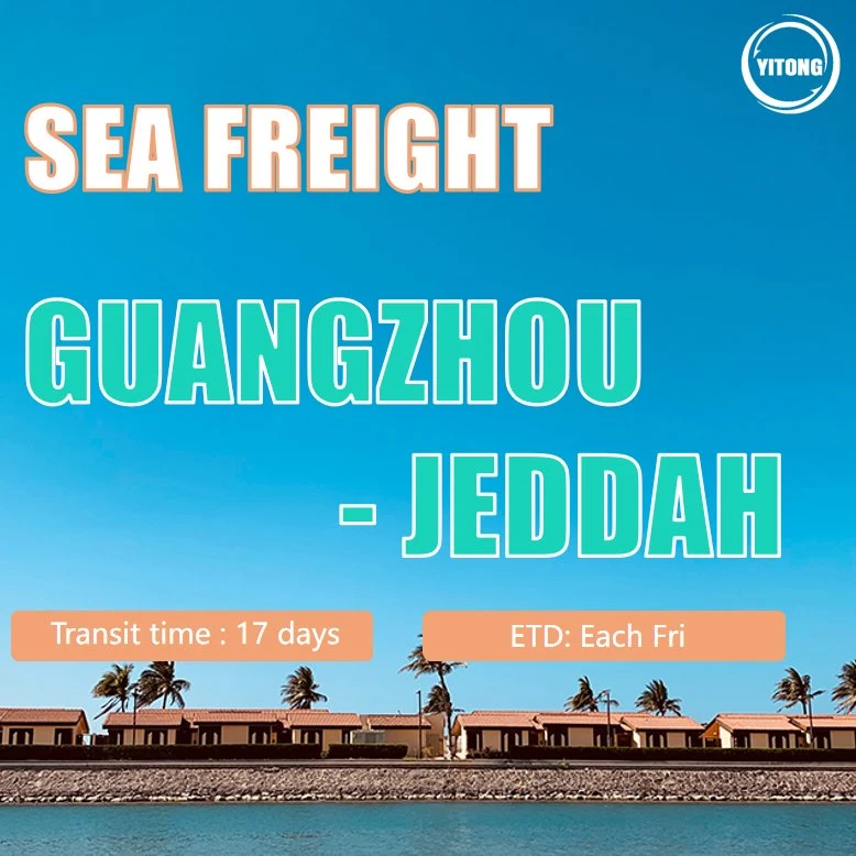 Logística do transporte marítimo de mercadorias de Qingdao a Jeddah