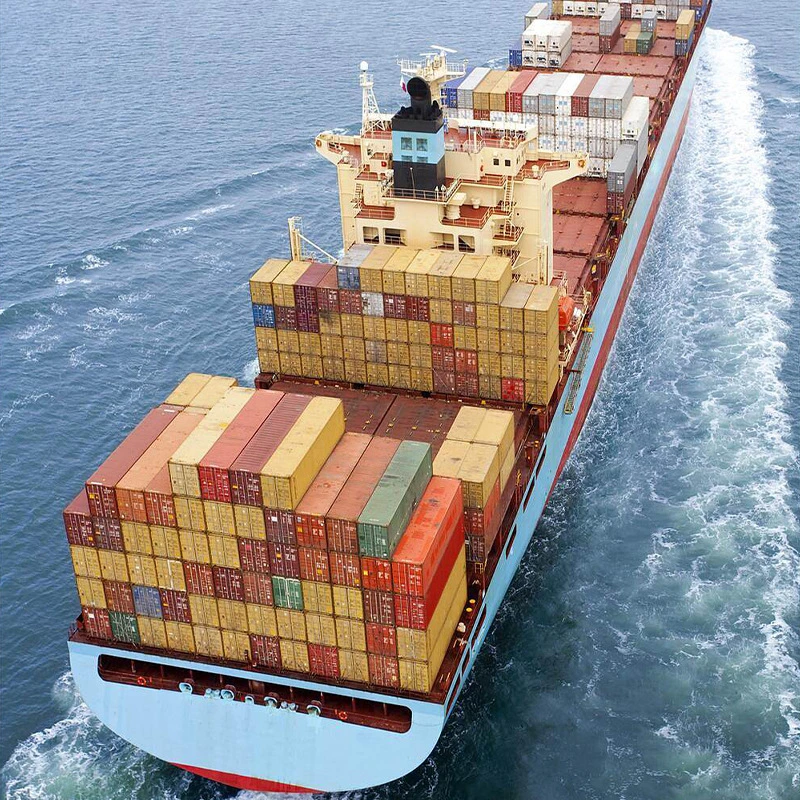 Sea Freight Forwarder Dropshipping Shipping Cargo Logistics Services From China to India