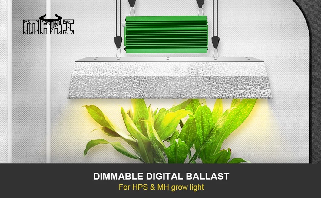 Mari 3D Factory Direct Supply 600W with Smart Rj11 HPS/Mh Grow Light Soft Start/Digital Dimmable Electronic Ballast for Grow Light Bulb European Hot Sales