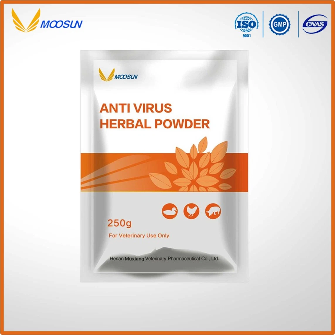 Chinese GMP Factory Herbal Veterinary Drug Anti Virus Herbal Powder for Animals Use with ISO