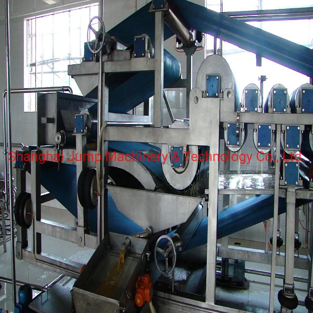 Mango Juice Processing Plant