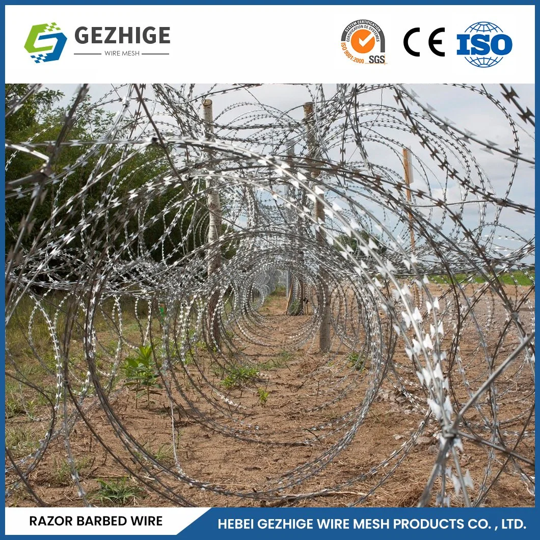 Gezhige doble torsión navaja caliente de fábrica de alambre de púas de acero inoxidable Galvanizado Alambre de púas de afeitar China 12-1/2X12-1/2 Bwg Galvanizado Alambre de púas