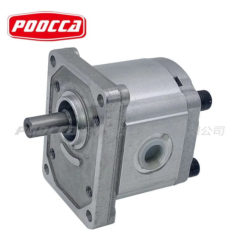 Analogue Polaris 10 20 30 Php10 Php20 Php30 Plp10 Plp20 Plp30 Series Best Casappa Hydraulic External Gear Oil Pump for Rope Shovels