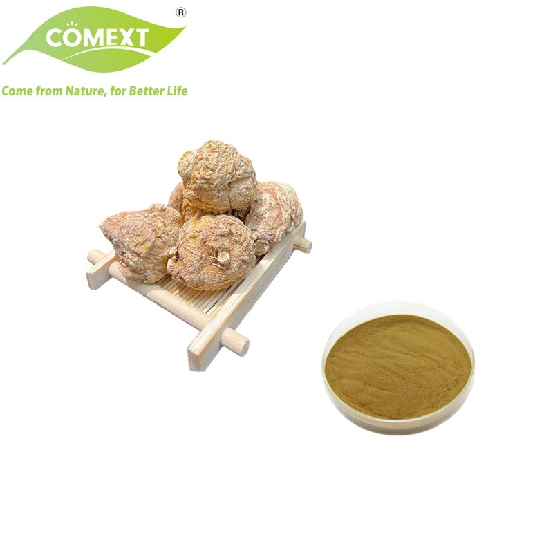 Comext Natural Herb Bulk Supply 10: 1 Organic Maca Root Extract Powder for Male Healthcare