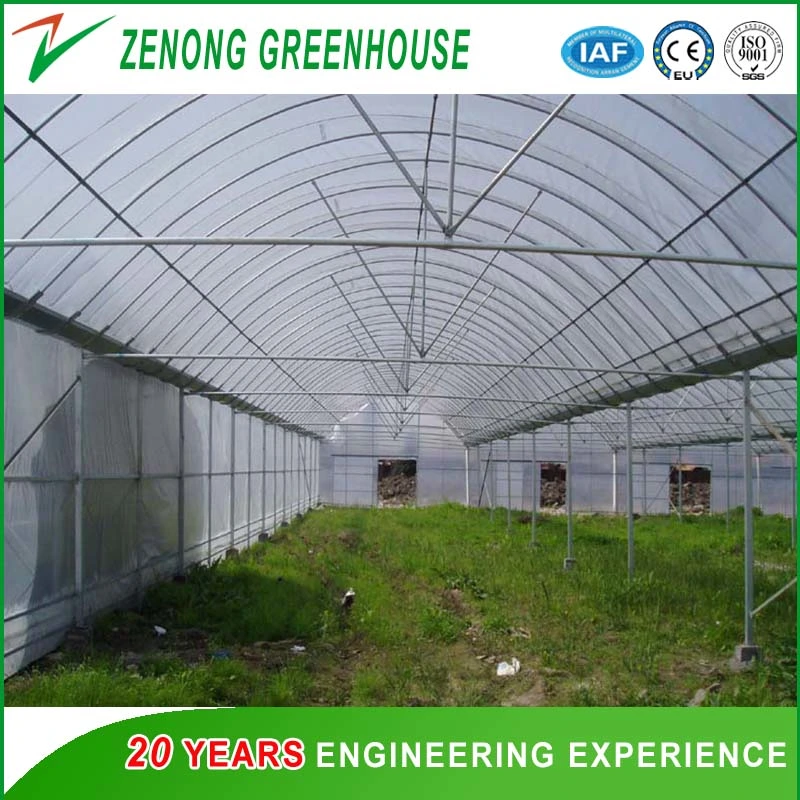 Poly-Tunnel Plastic Film Greenhouse with Ventilation Equipment